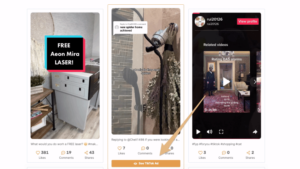 ads spy TikTok Ad Insights_-VEED